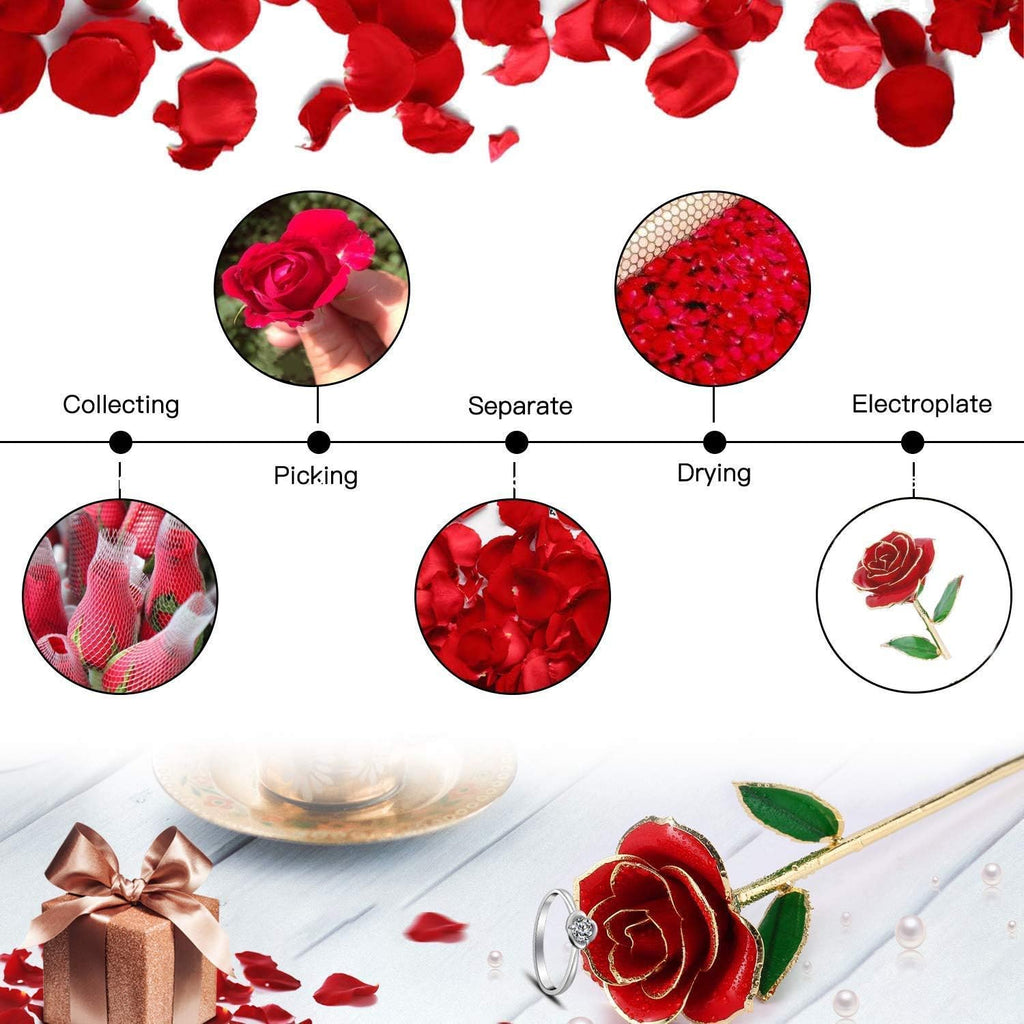 Eternity Rose - 24K Gold-Plated Luxury Gift Set