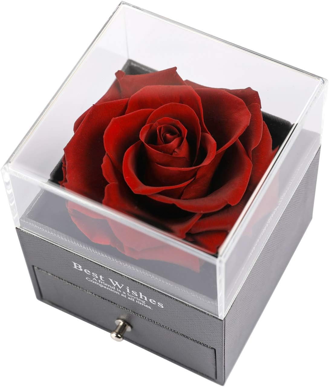 Preserved Real Rose Drawer with Heart Necklace I Love You in 100 Languages Gift Set