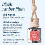 Scented Car Air Freshener - Long Lasting Car Diffuser - Last 60+ Days