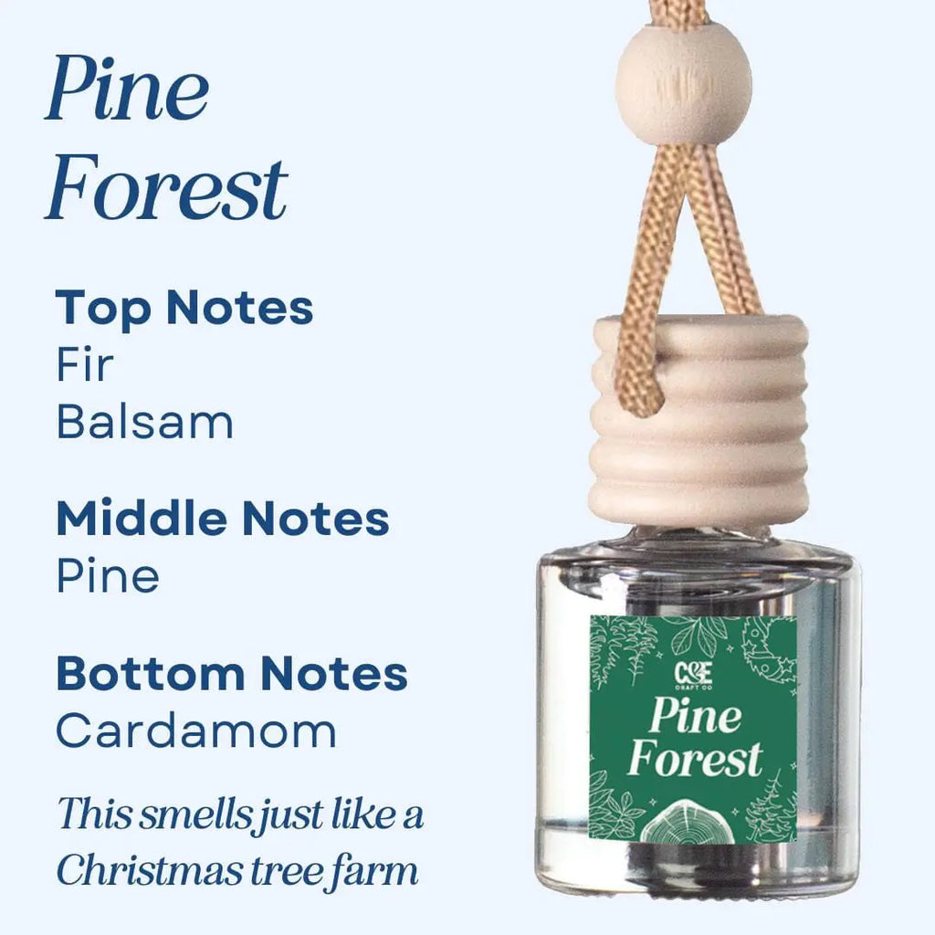 Scented Car Air Freshener - Long Lasting Car Diffuser - Last 60+ Days