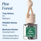 Scented Car Air Freshener - Long Lasting Car Diffuser - Last 60+ Days