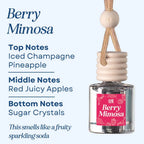 Scented Car Air Freshener - Long Lasting Car Diffuser - Last 60+ Days