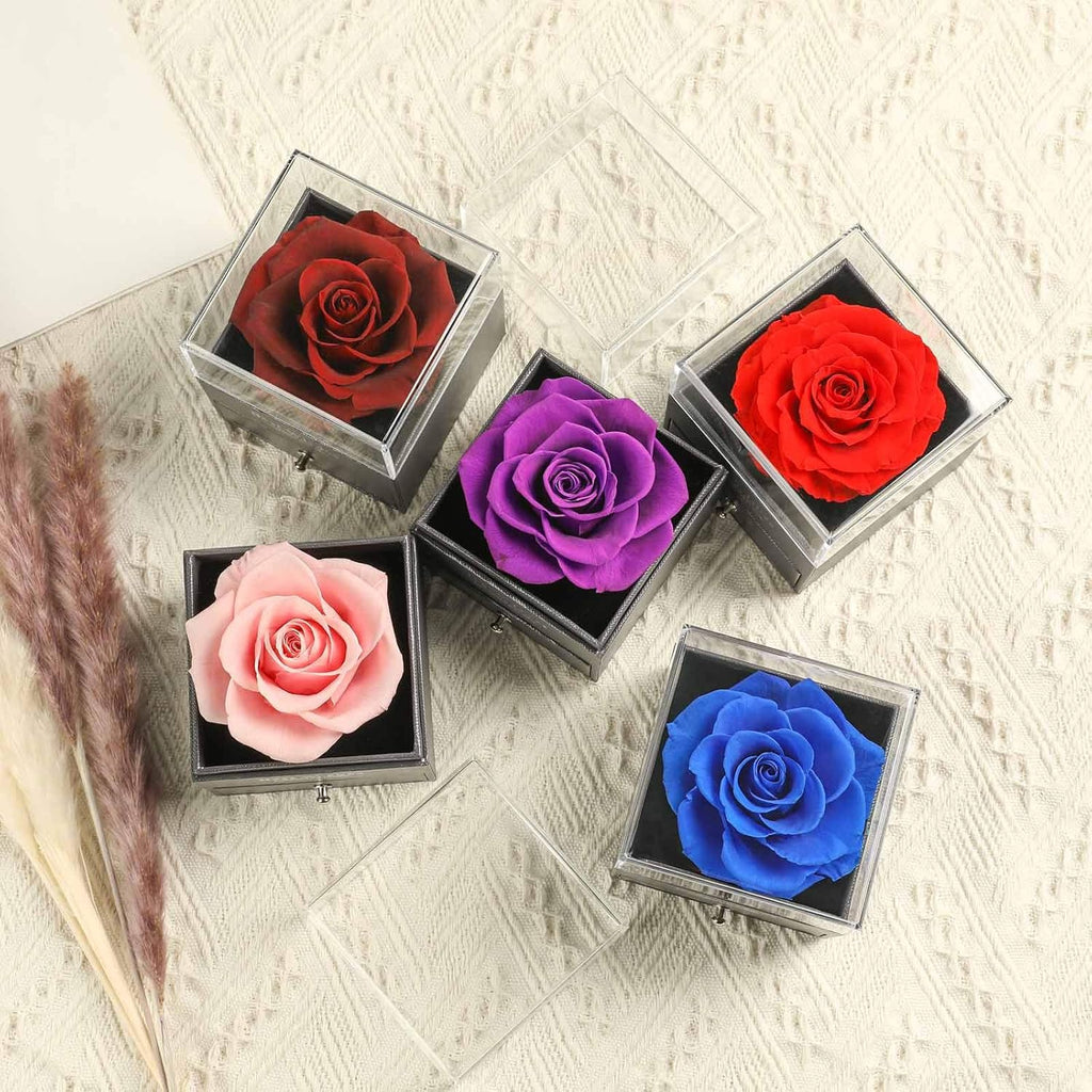 Preserved Real Rose Drawer with Heart Necklace I Love You in 100 Languages Gift Set