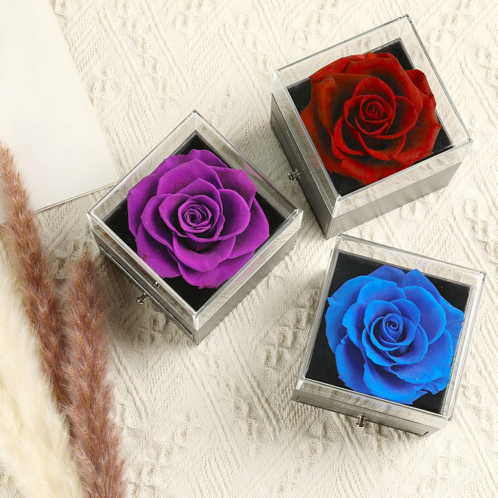Preserved Real Rose Drawer with Heart Necklace I Love You in 100 Languages Gift Set