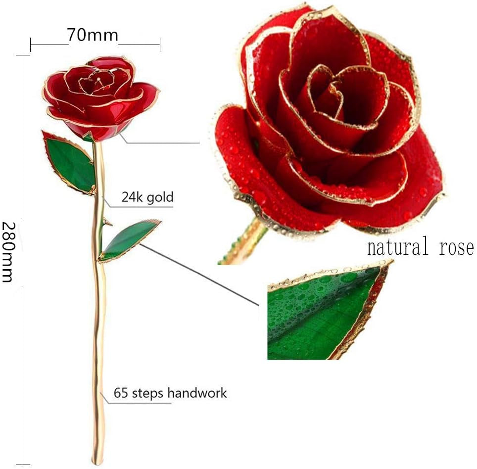 Eternity Rose - 24K Gold-Plated Luxury Gift Set