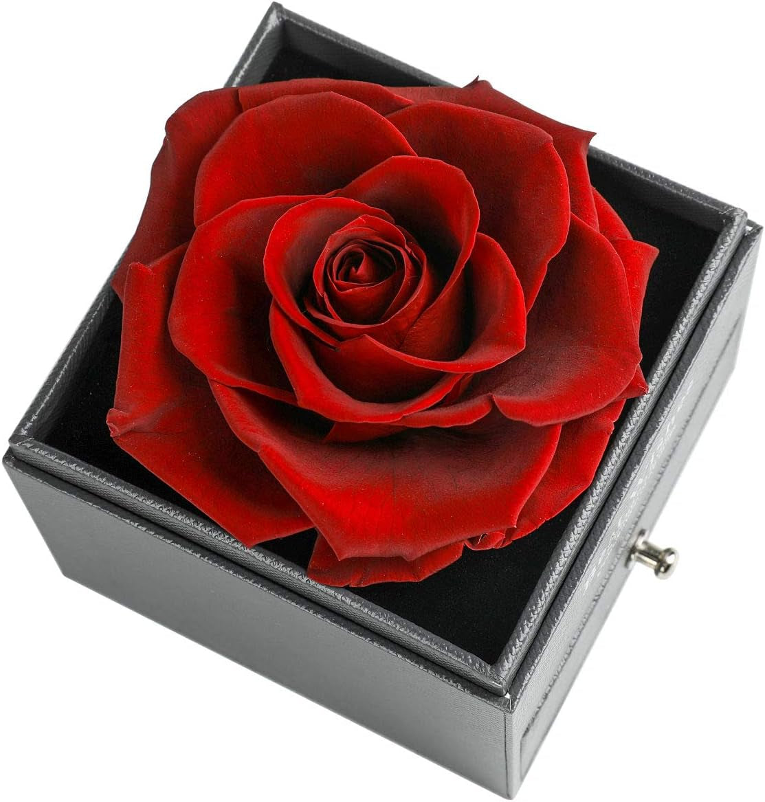 Preserved Real Rose Drawer with Heart Necklace I Love You in 100 Languages Gift Set